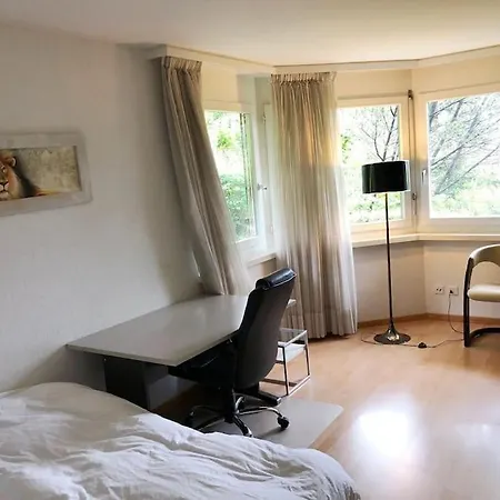 Centrally Located, Spacious Modern Apartment Zurich Exterior photo